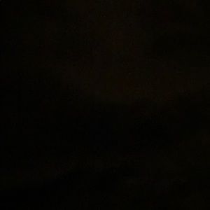 Meet your Posher, Philip